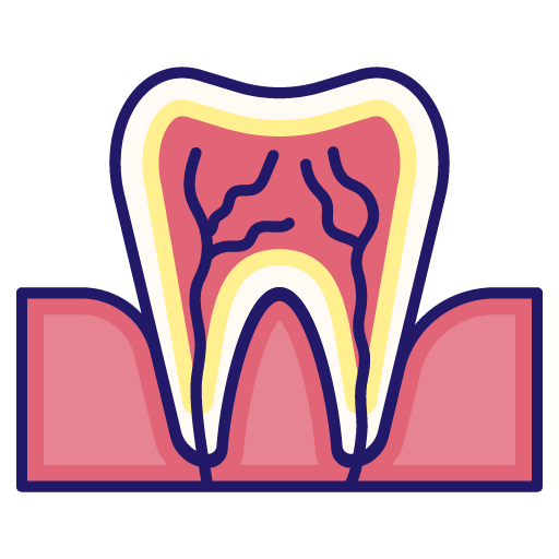 Tooth_anatomy512px